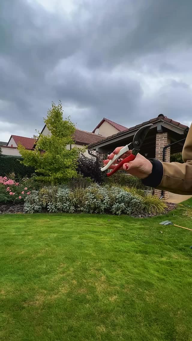 Timelapse of autumn maintenance! 🍂 It&#39;s time for autumn maintenance! Make your work easier with our products – less effort, more results. 💪✨ 🔹Garden material collector – Darlac DP556 https://www.zidekhk.com/produkt/sberac-zahradniho-materialu-darlac-dp556/ 🔹Garden wheel DIY FORT TK100 https://www.zidekhk.com/kategorie/travnikovy-program/rucni-naradi-a-kolecka-fort/zahradni-kolecka-fort/ 🔹 Okatsune scissors https://www.zidekhk.com/kategorie/zahradni-program/zahradni-nuzky-pilky/zahradni-nuzky/okatsune/ … ⏱️ Timelapse of autumn maintenance! 🍂 With our products, everything gets done faster, easier, and with better results. 💪✨ #lawncare #gardendesign #gardentime