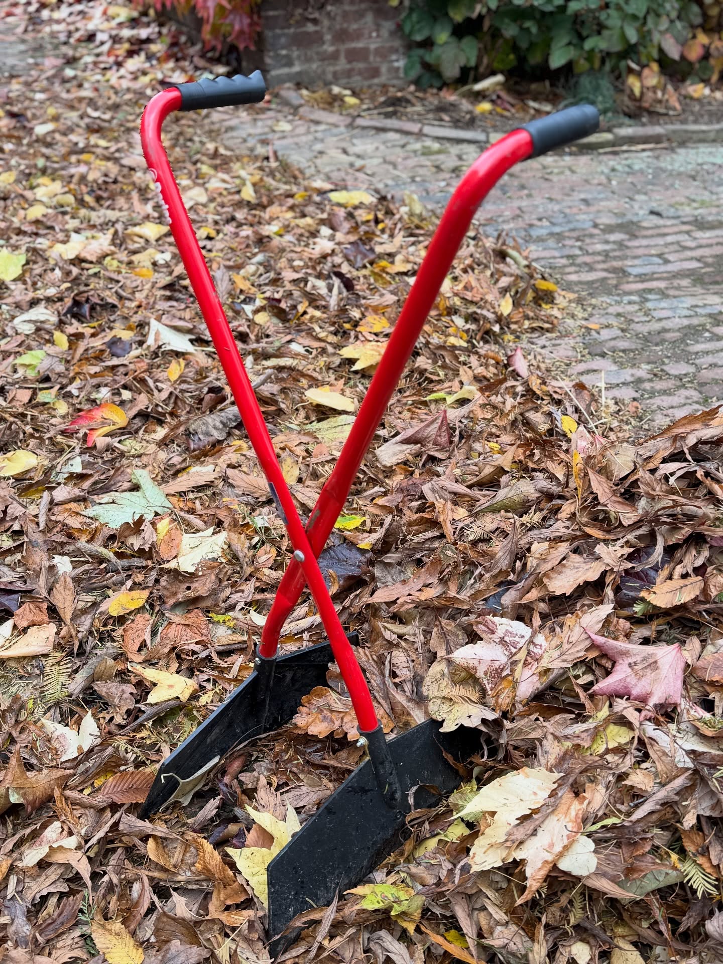 🌿 Garden material collector - no more sore backs! No more bending, shovels or sore backs! Our garden material collector turns garden cleaning into fun - it easily collects fallen leaves, grass, moss or small material from the lawn and paths in a matter of moments. The ideal helper for anyone who wants to keep their garden clean quickly, conveniently and effortlessly. Just push, collect - and enjoy the perfect result. 🍃 ✅ lightweight construction ✅ easy to operate ✅ without a motor, without noise ✅ suitable for lawns, sidewalks and driveways 💚 Garden cleaning has never been so easy and fun!