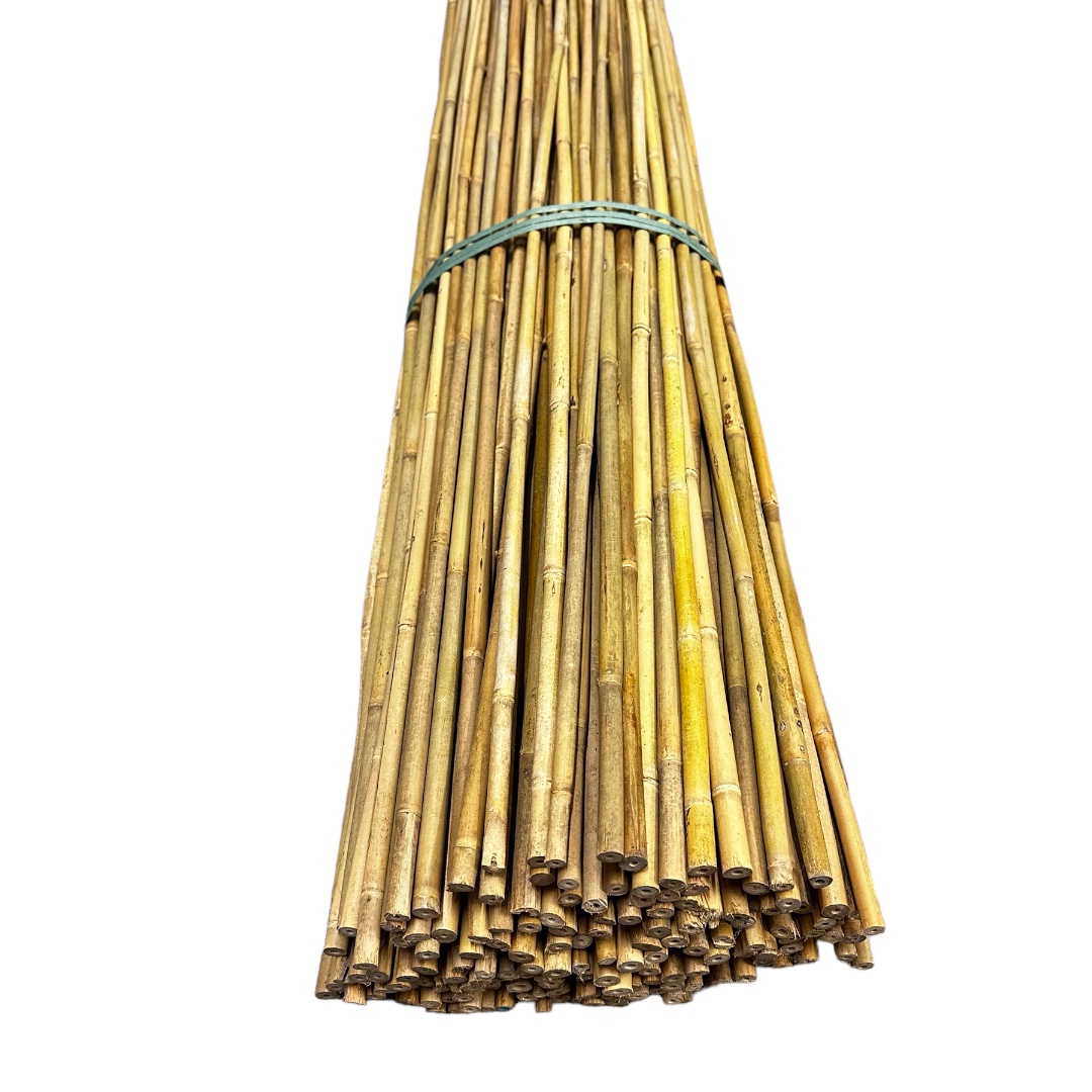 Bambusová tyč 150 cm, Ø 0,6 -1 cm