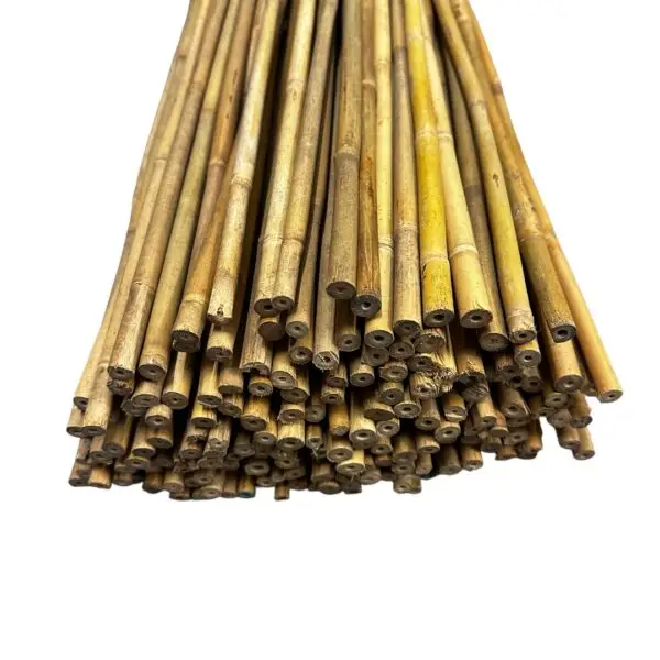 Bambusová tyč 150 cm, Ø 0,6 - 1 cm - Image 2
