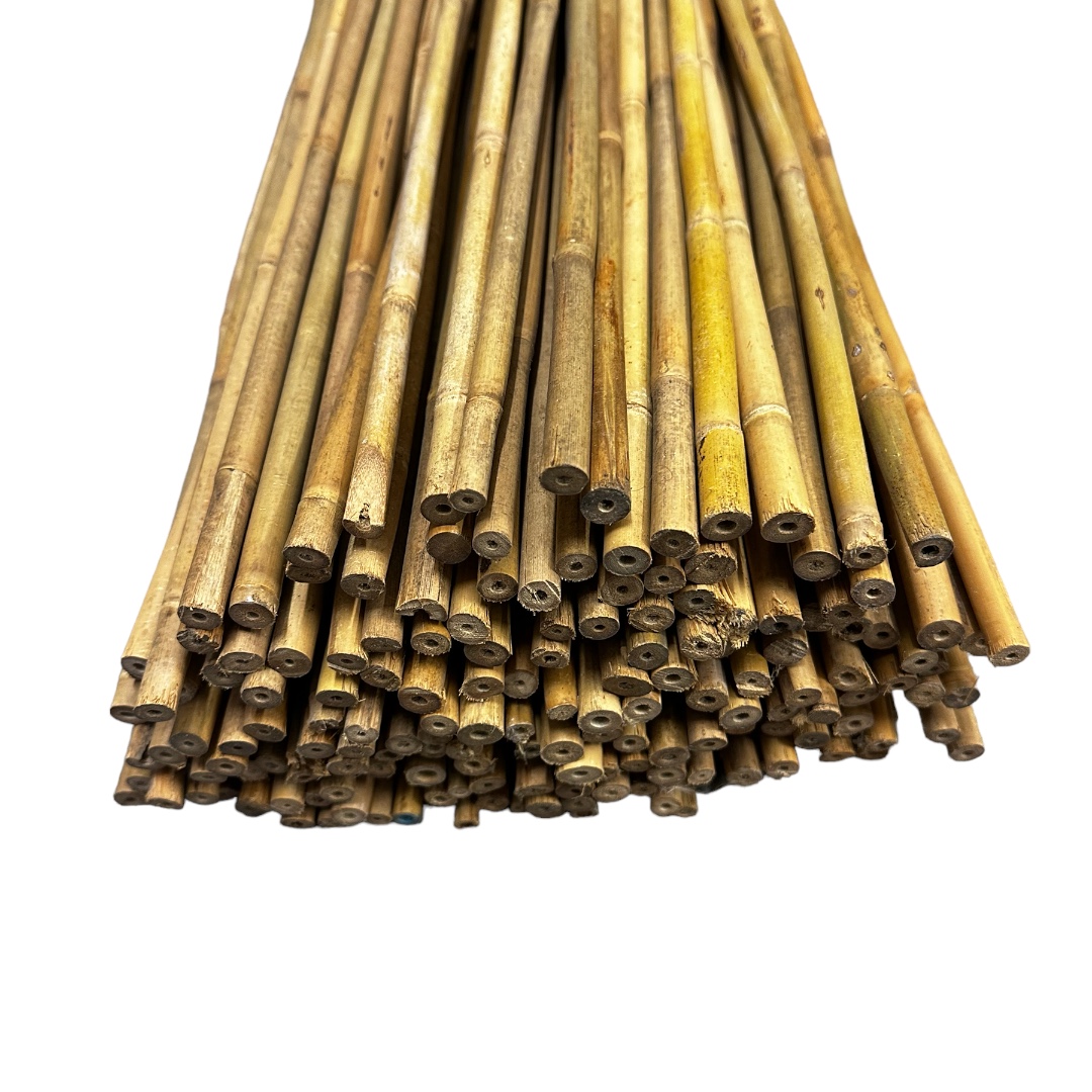 Bambusová tyč 150 cm, Ø 0,6 -1 cm
