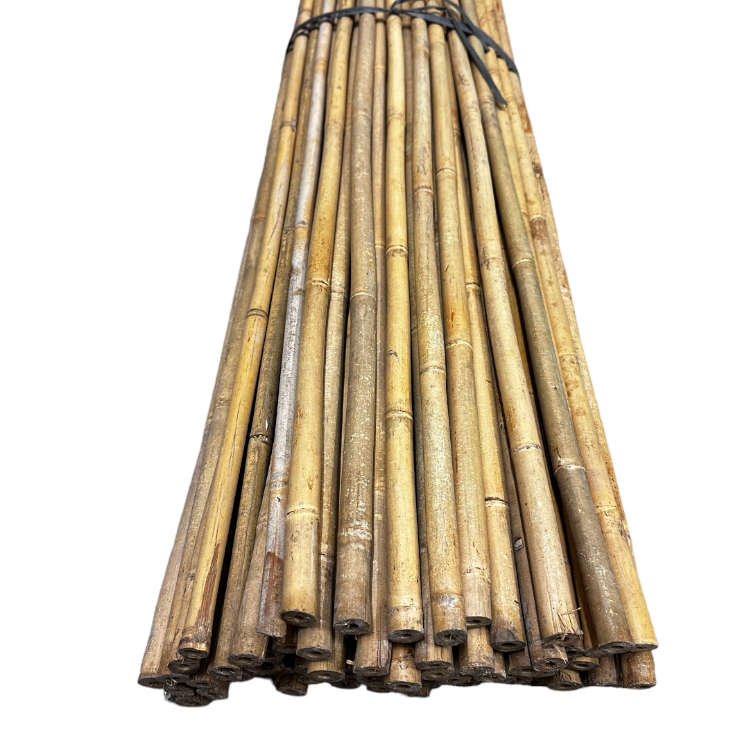 Bambusová tyč 180 cm, Ø 1 – 1,5 cm