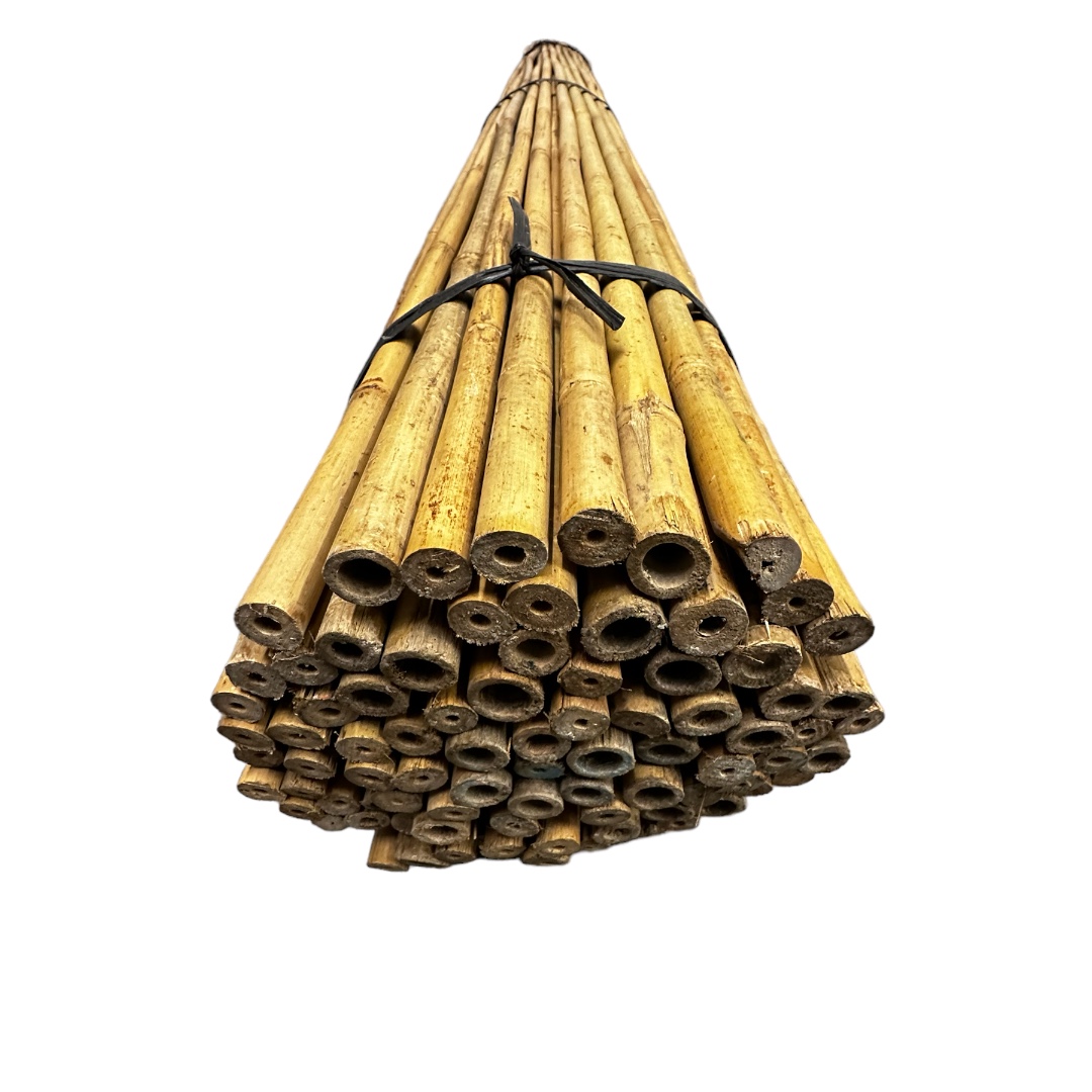 Bambusová tyč 150 cm, Ø 1,8 – 2 cm