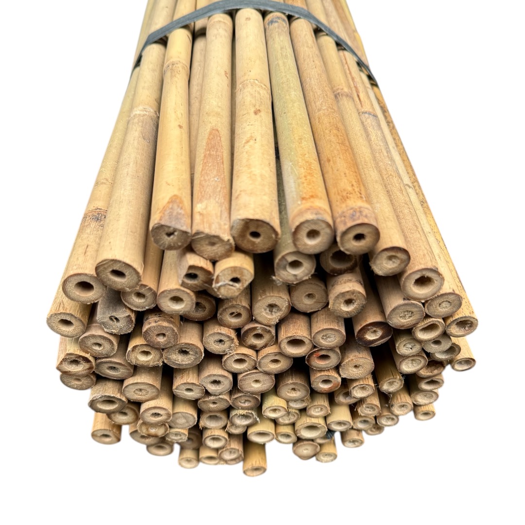 Bambusová tyč 210 cm, Ø 15 – 17 mm