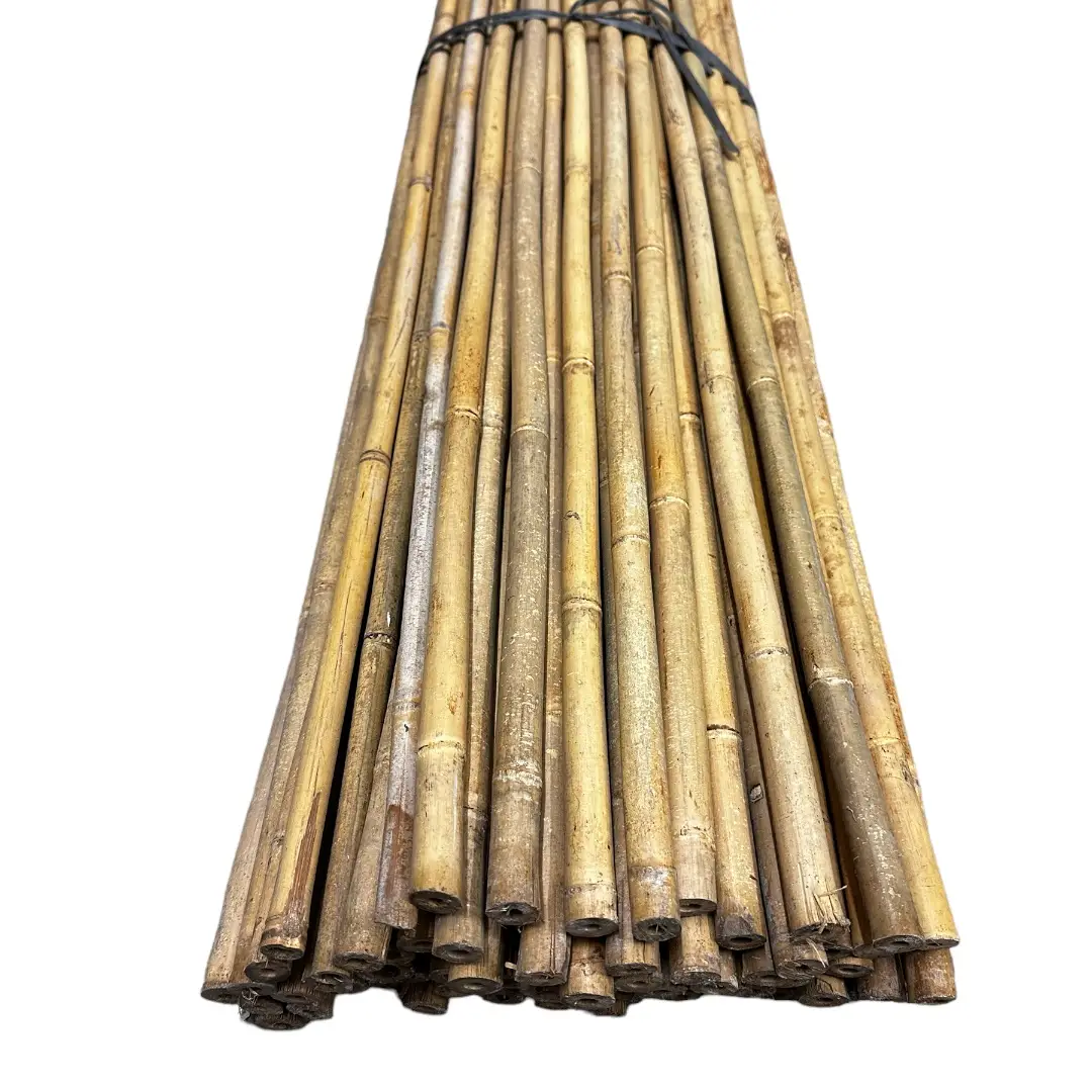 Bambusová tyč 180 cm, Ø 1,8 – 2 cm