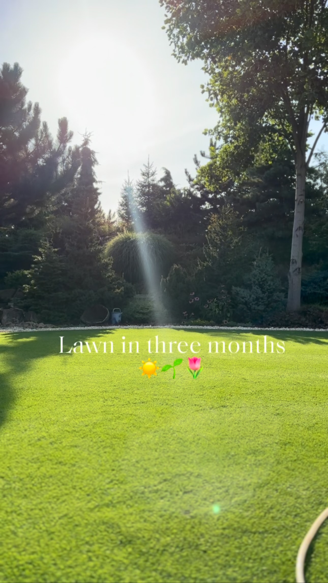 🌱 Už za 3 měsíce může váš trávník vypadat takhle!

I když jsme stále uprostřed zimy, je ten správný čas začít myslet na jarní péči. Jakmile se příroda probudí, váš trávník bude potřebovat správnou výživu a péči, aby byl hustý, zelený a zdravý.
Připravte se na jaro včas a buďte o krok napřed s produkty ZIDEKHK 🌿

••

🌱 In just 3 months, your lawn can look like this!
Even though we’re still in the middle of winter, now is the time to start thinking about spring lawn care. Once nature wakes up, your lawn will need the right nutrients and care to become lush, green, and healthy.
Get ready for spring in advance and stay one step ahead with zidekhk products 🌿

=>www.zidekhk.com