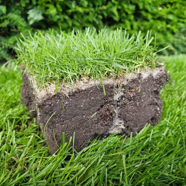 Rasenretter Grass Sod Cutter – Vyřezávač travního drnu - Image 2