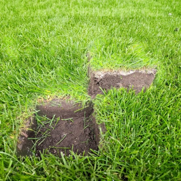 Rasenretter Grass Sod Cutter – Vyřezávač travního drnu - Image 4