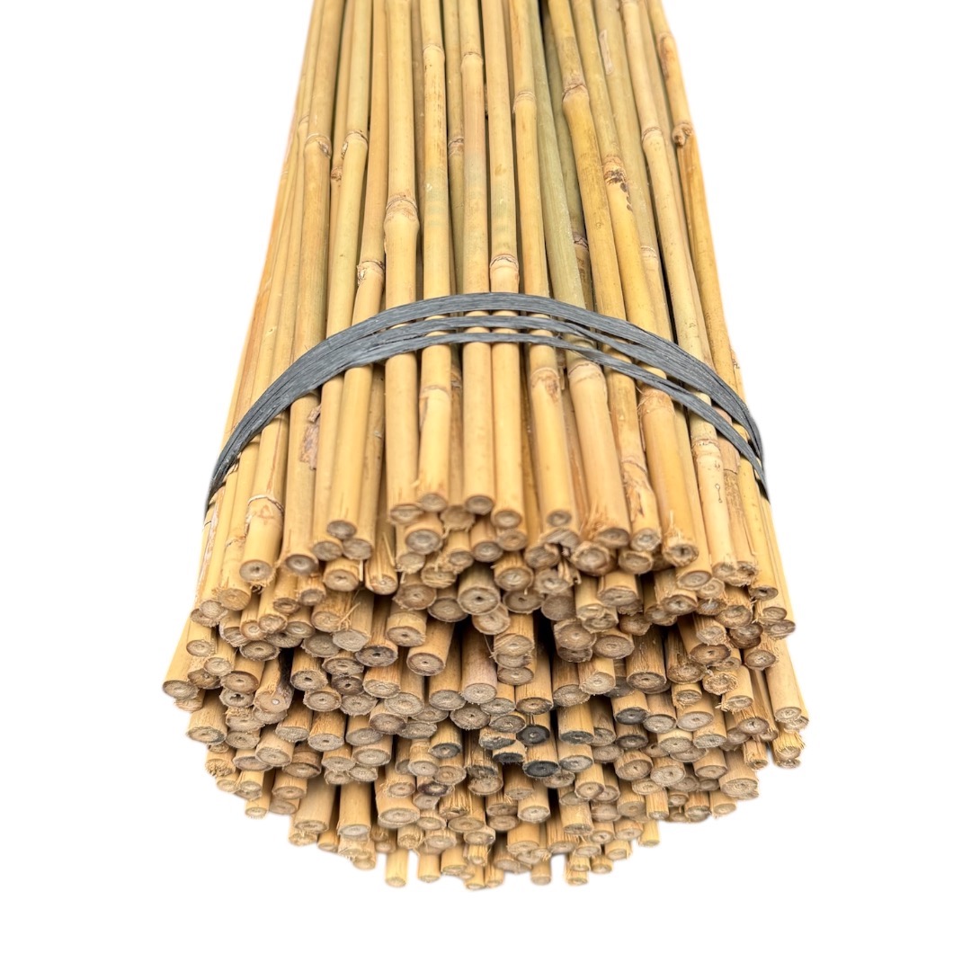 Bambusová tyč 120 cm, Ø 10 - 12 mm - Image 2