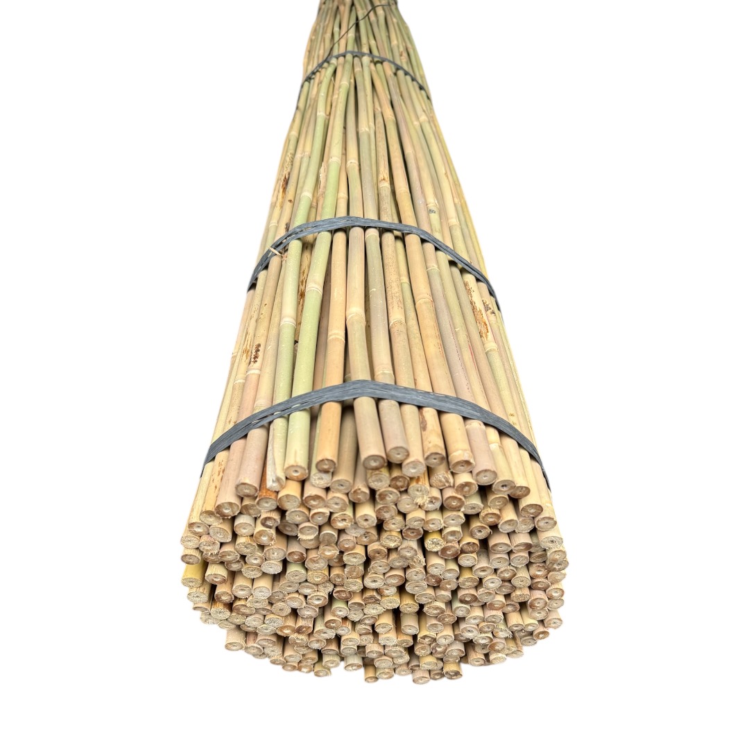 Bambusová tyč 150 cm, Ø 10 - 12 mm - Image 2