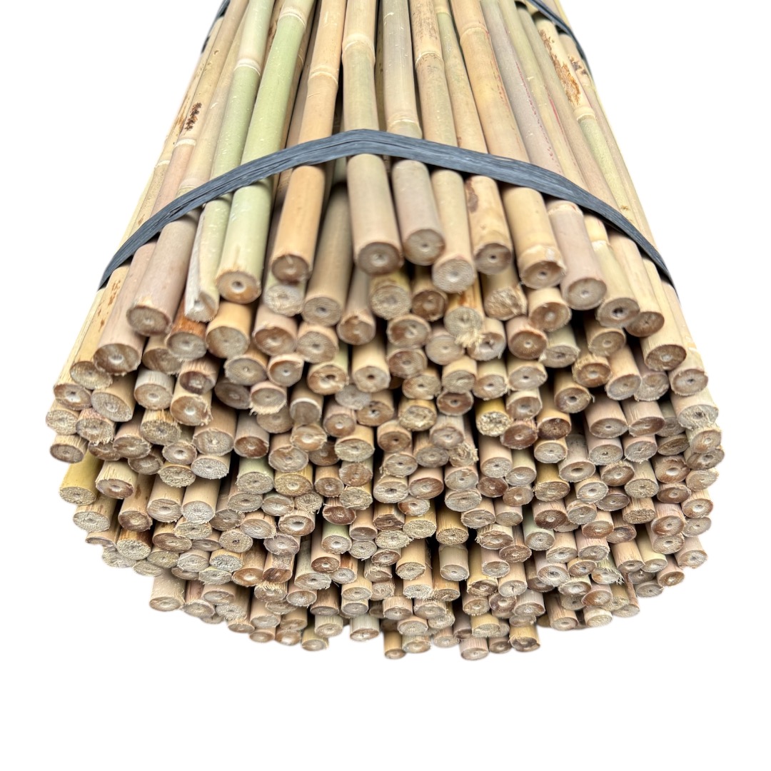 Bambusová tyč 150 cm, Ø 10 - 12 mm