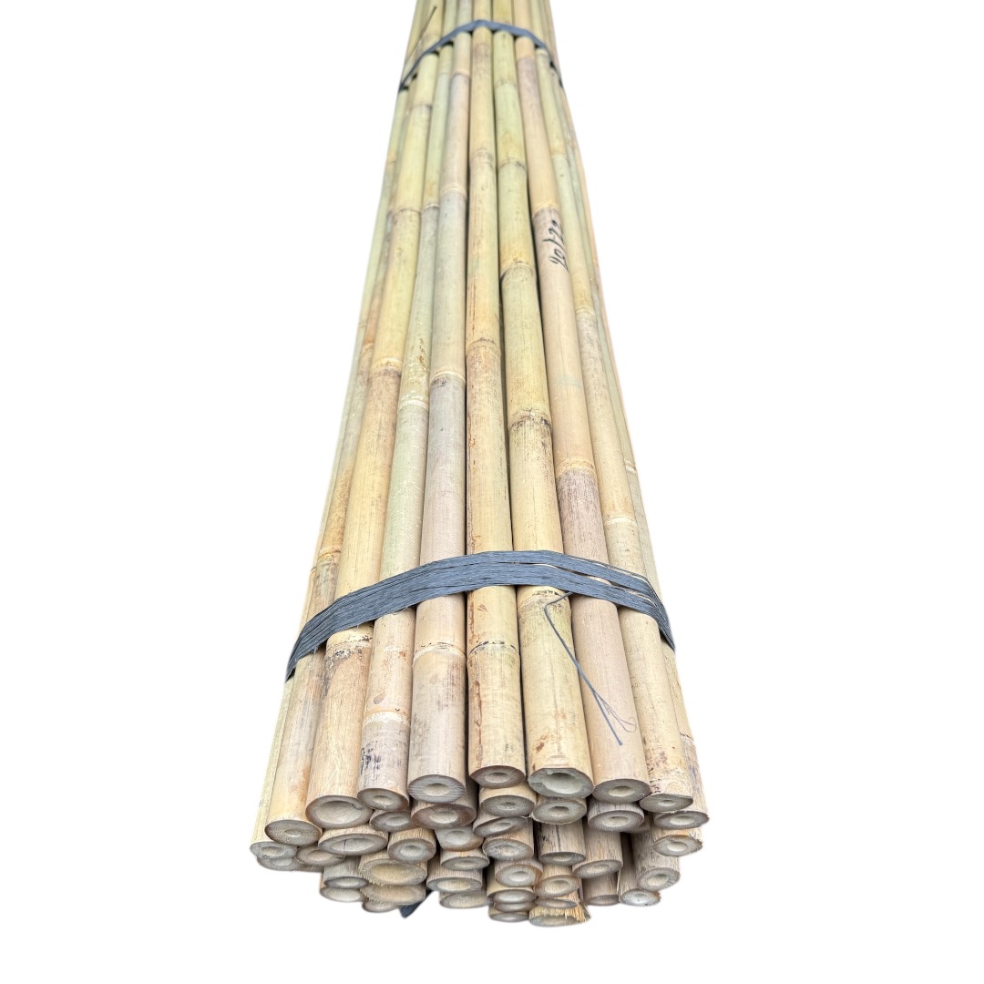 Bambusová tyč 305 cm, Ø 20 - 22 mm - Image 2