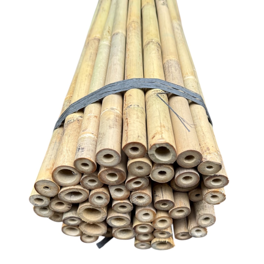 Bambusová tyč 305 cm, Ø 20 - 22 mm
