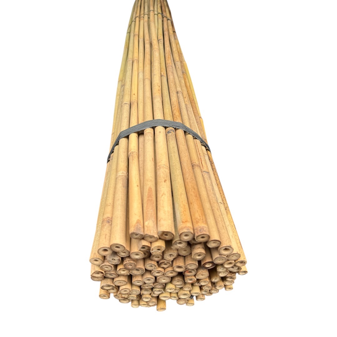 Bambusová tyč 270 cm, Ø 18 - 20 mm - Image 2