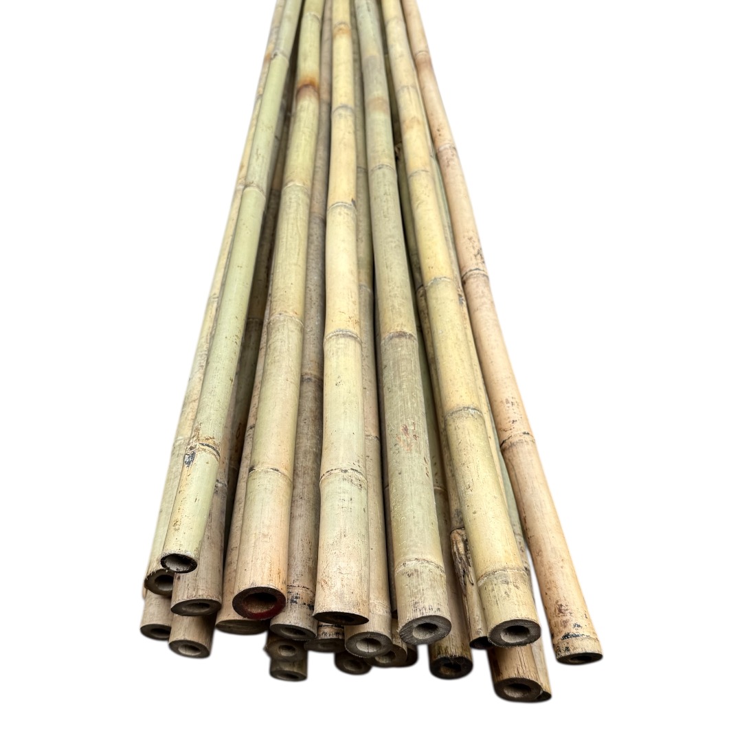 Bambusová tyč 520 cm, Ø 30 - 35 mm - Image 2