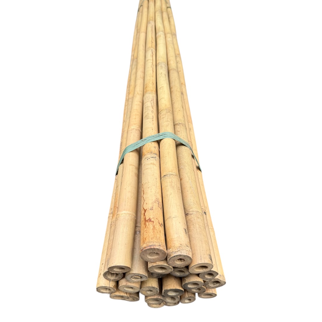 Bambusová tyč 420 cm, Ø 28 - 32 mm - Image 2